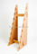 El soporte de exhibición de madera sólido simple crea 8 pedazos del monopatín del estante para requisitos particulares de exhibición proveedor